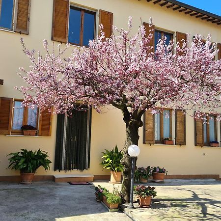 B&B Barbara Assisi Cannara Экстерьер фото