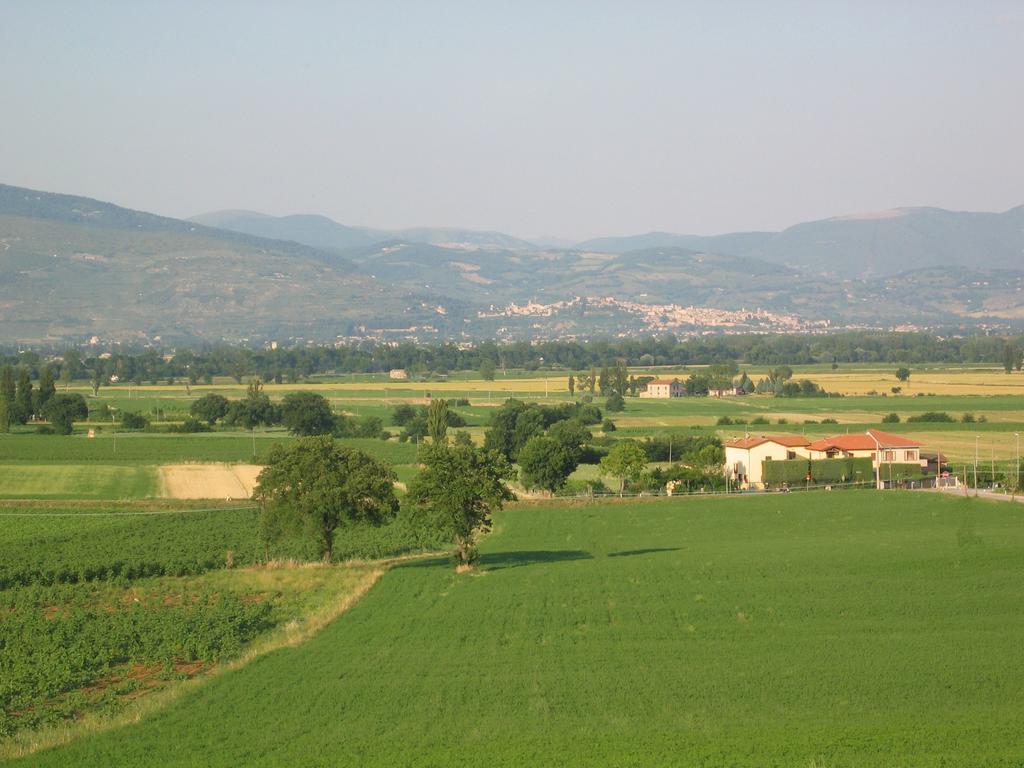 B&B Barbara Assisi Cannara Экстерьер фото