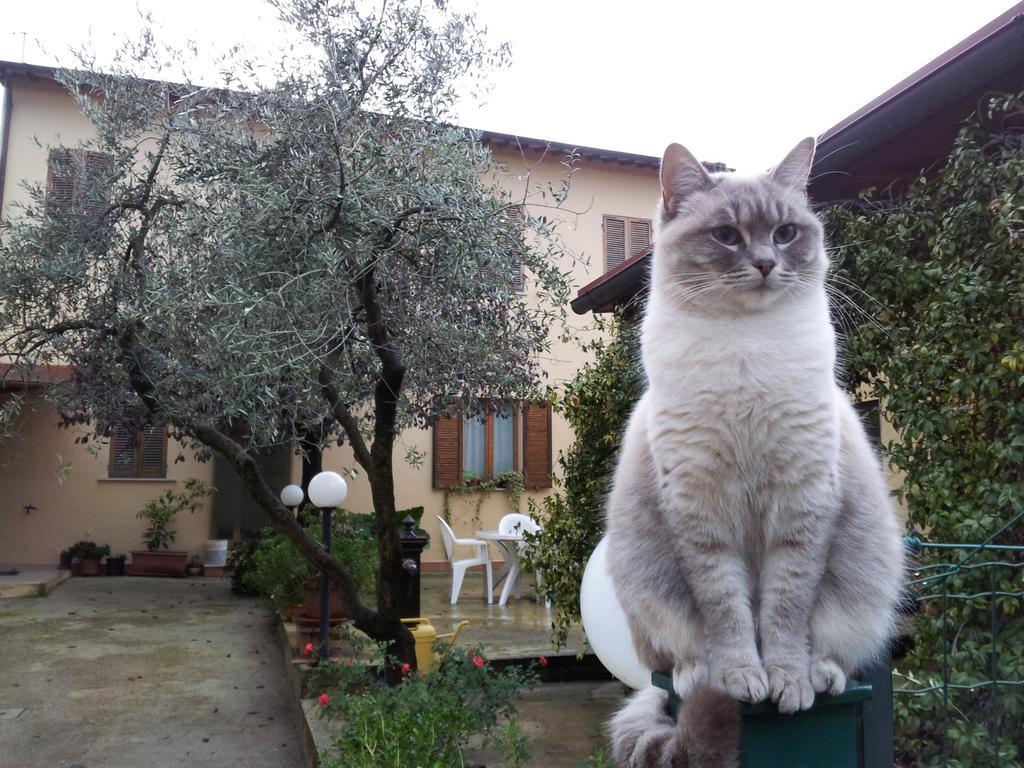 B&B Barbara Assisi Cannara Экстерьер фото